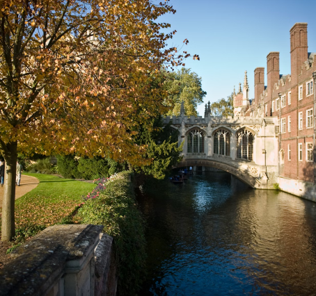 Building surrounded by cars and trucks